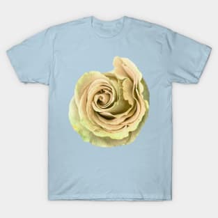 Yellow Rose Art T-Shirt